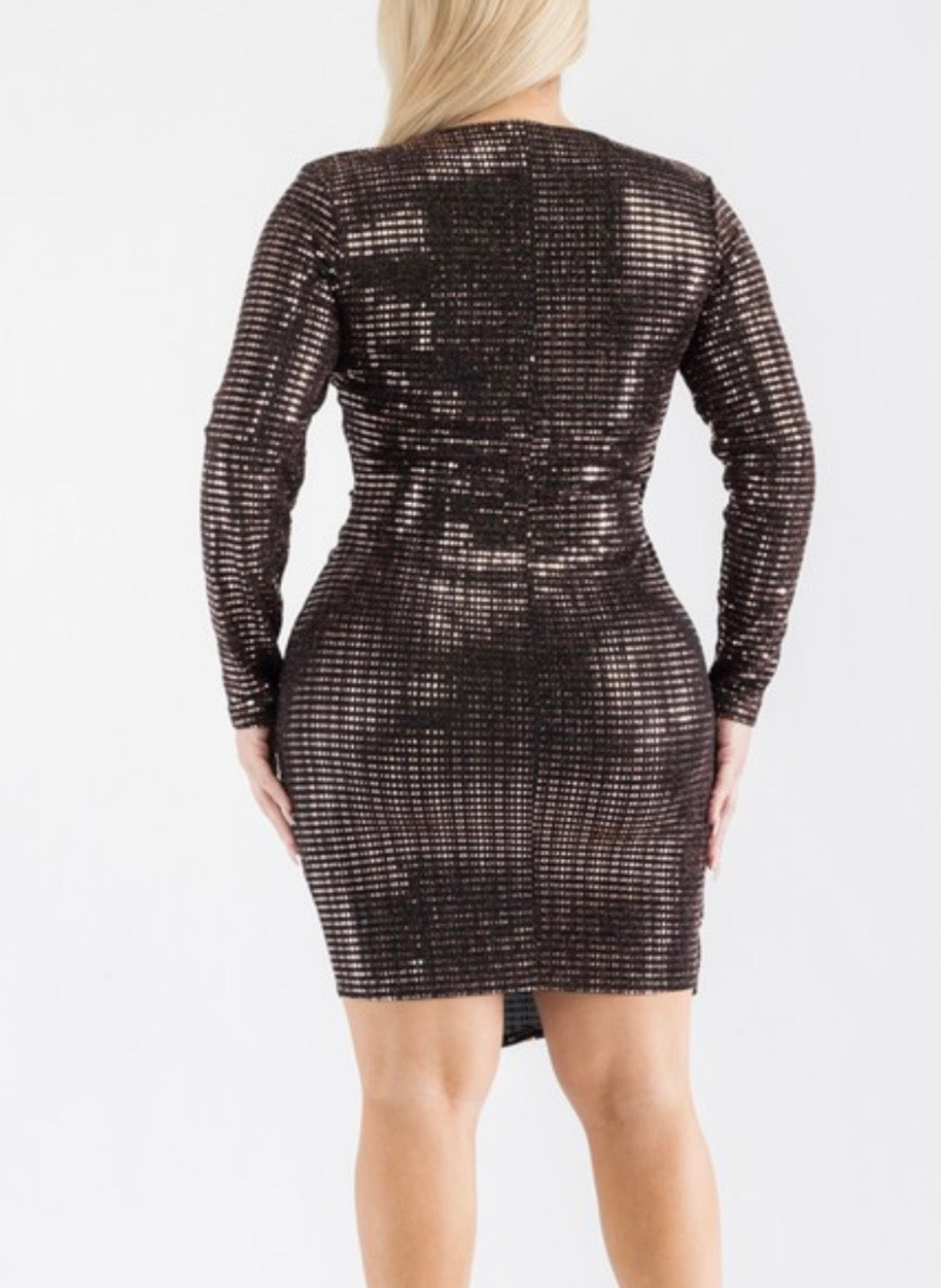 Sparkly long sleeve dress