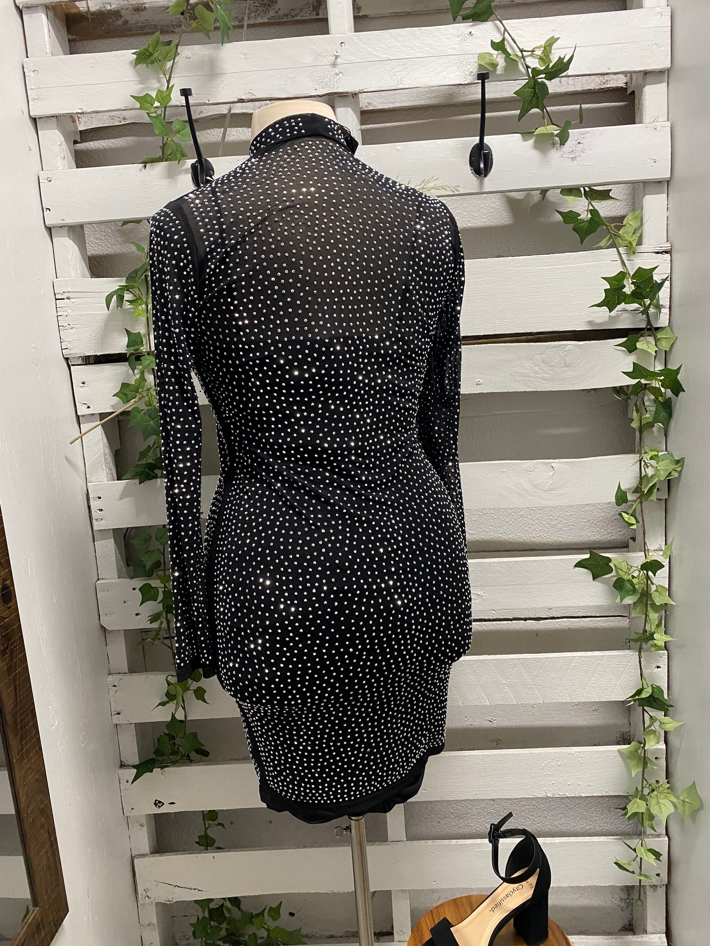 Mesh see throughdress